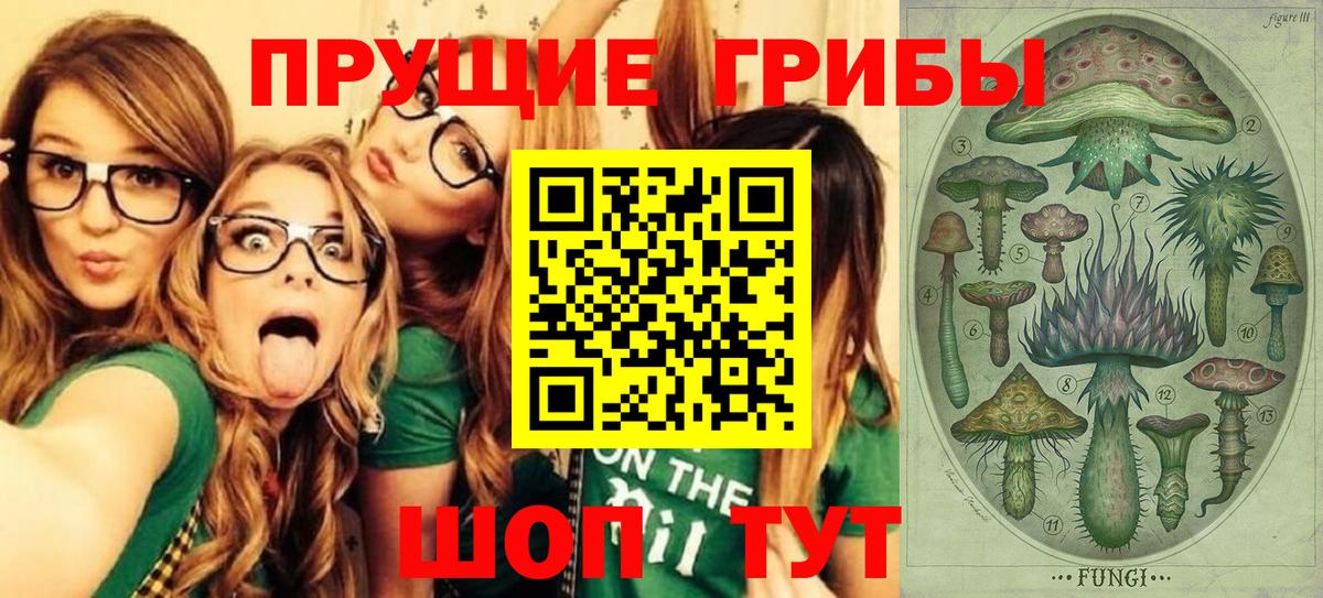 Североуральск  Галлюциногенные грибы Psilocybe  Вход с VPN  Псилоцибиновые грибы GOLDEN TEACHER 