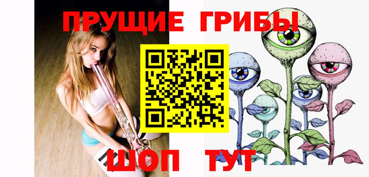 Псилоцибиновые грибы Psilocybe Североуральск